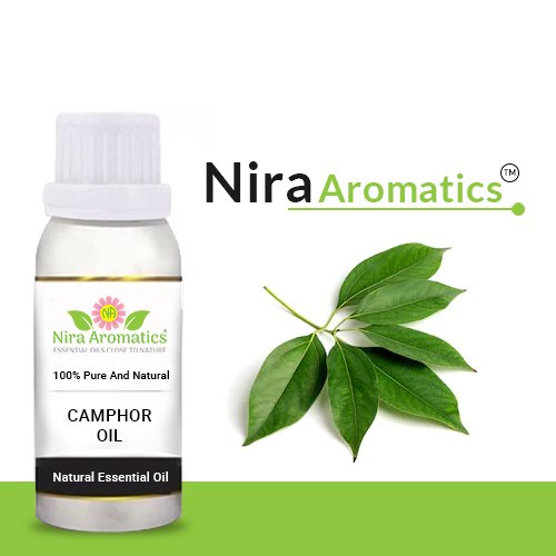 camphor-oil